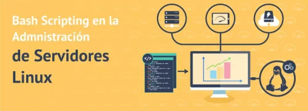 30 - Pack de Scripts de Automatización para Servidores