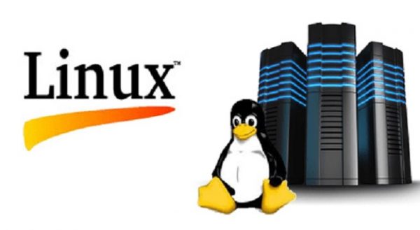 25 - Curso de Administración de Servidores Linux para Empresas